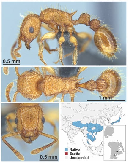 Diversity 13 00358 g0a129