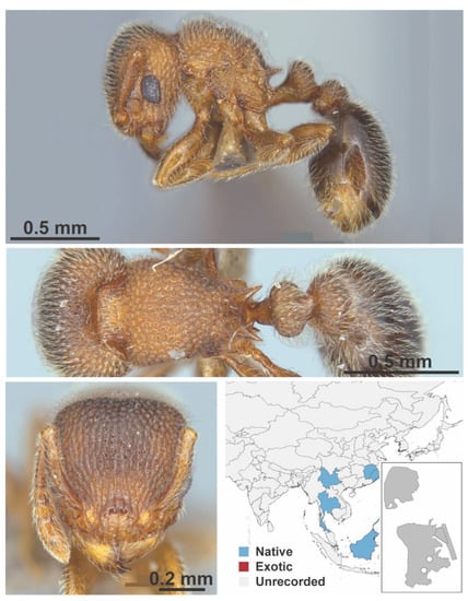 Diversity 13 00358 g0a130