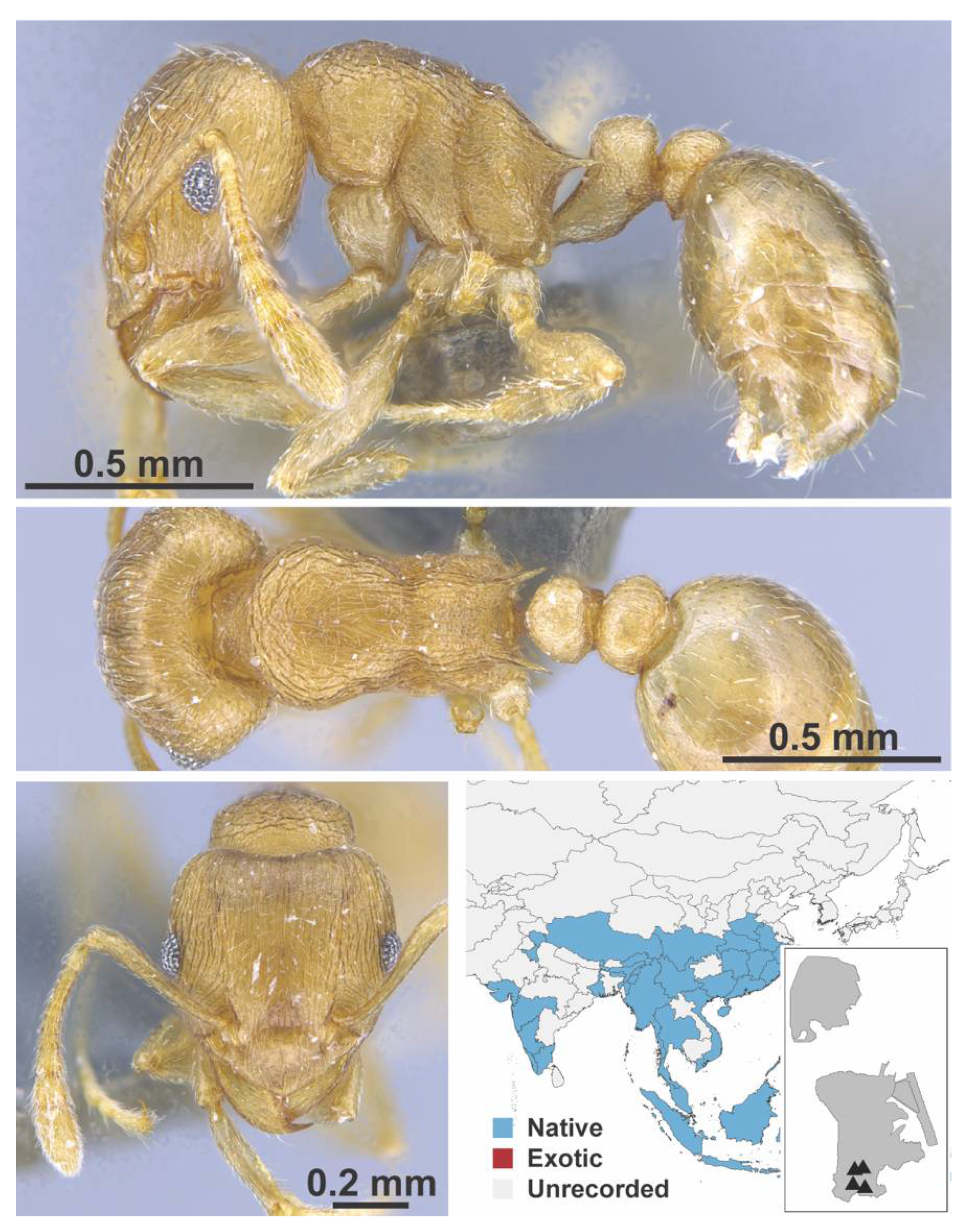 Diversity 13 00358 g0a133