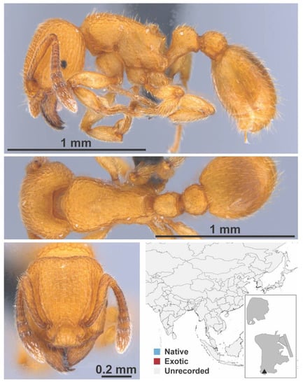 Diversity 13 00358 g0a134