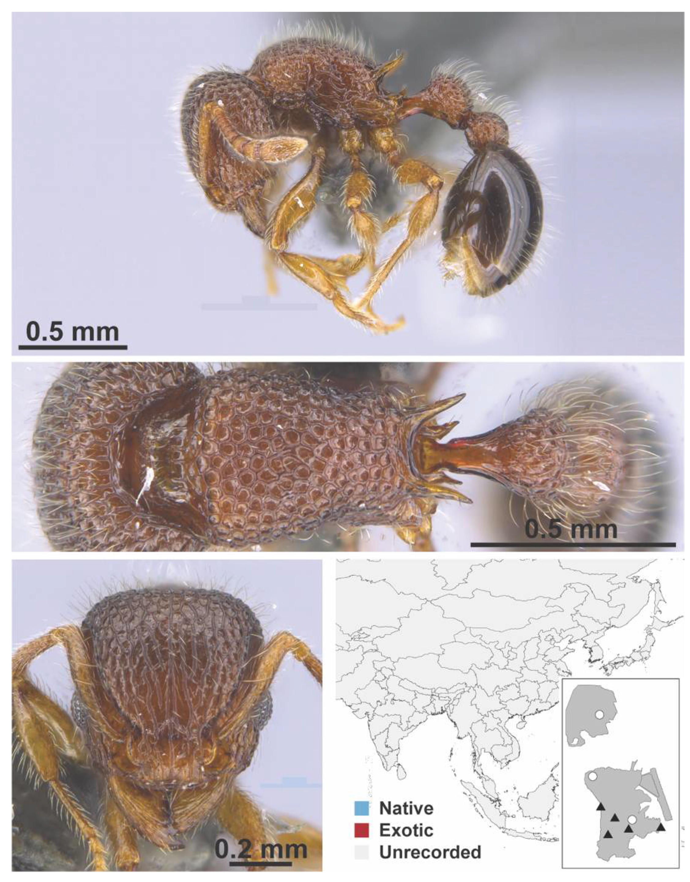 Diversity 13 00358 g0a135