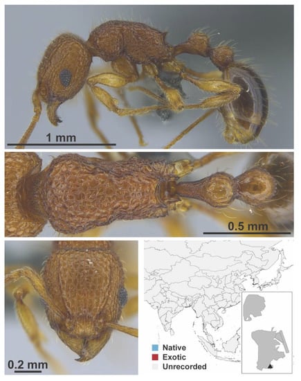 Diversity 13 00358 g0a136