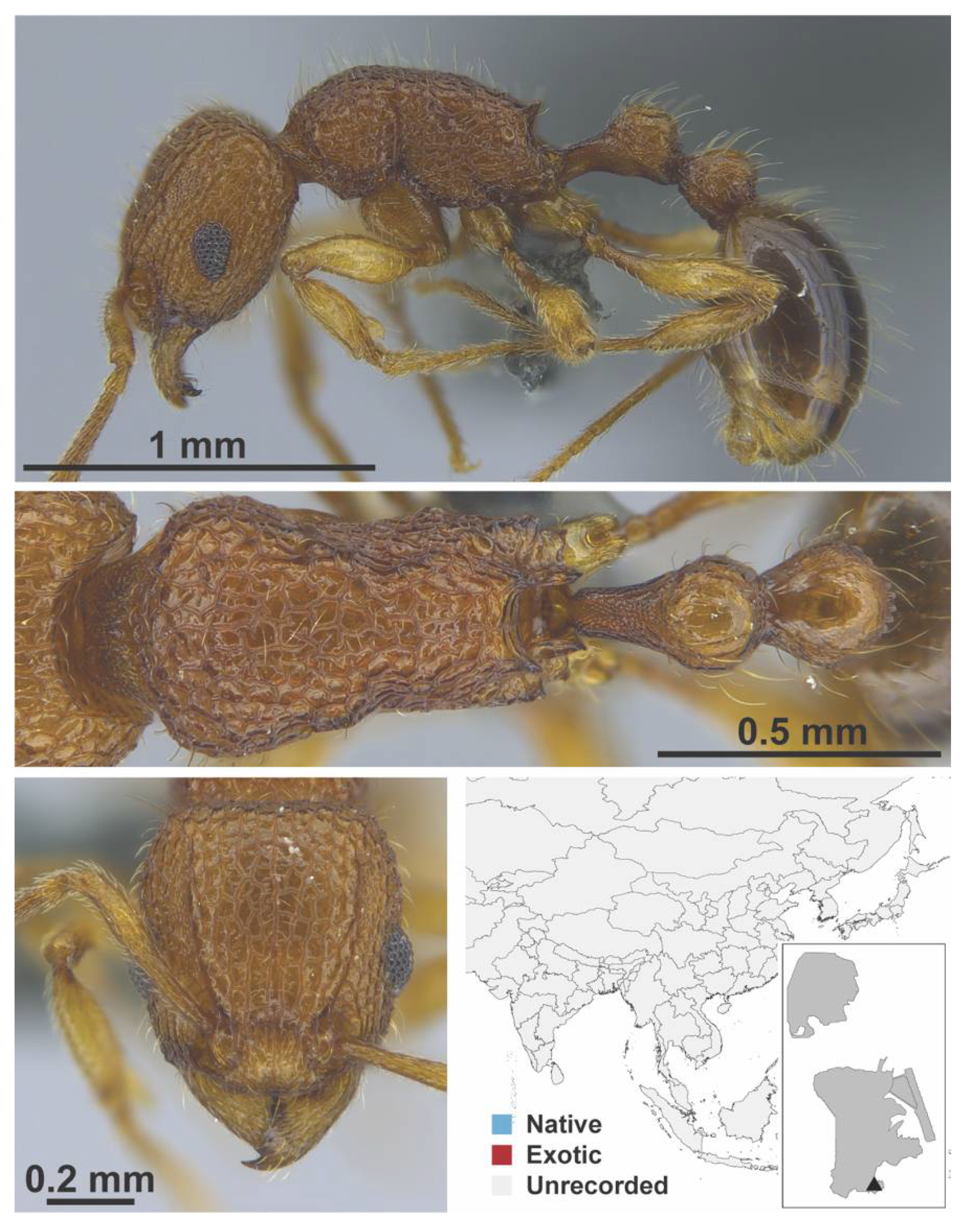 Diversity 13 00358 g0a136