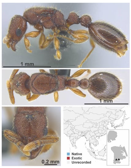 Diversity 13 00358 g0a138