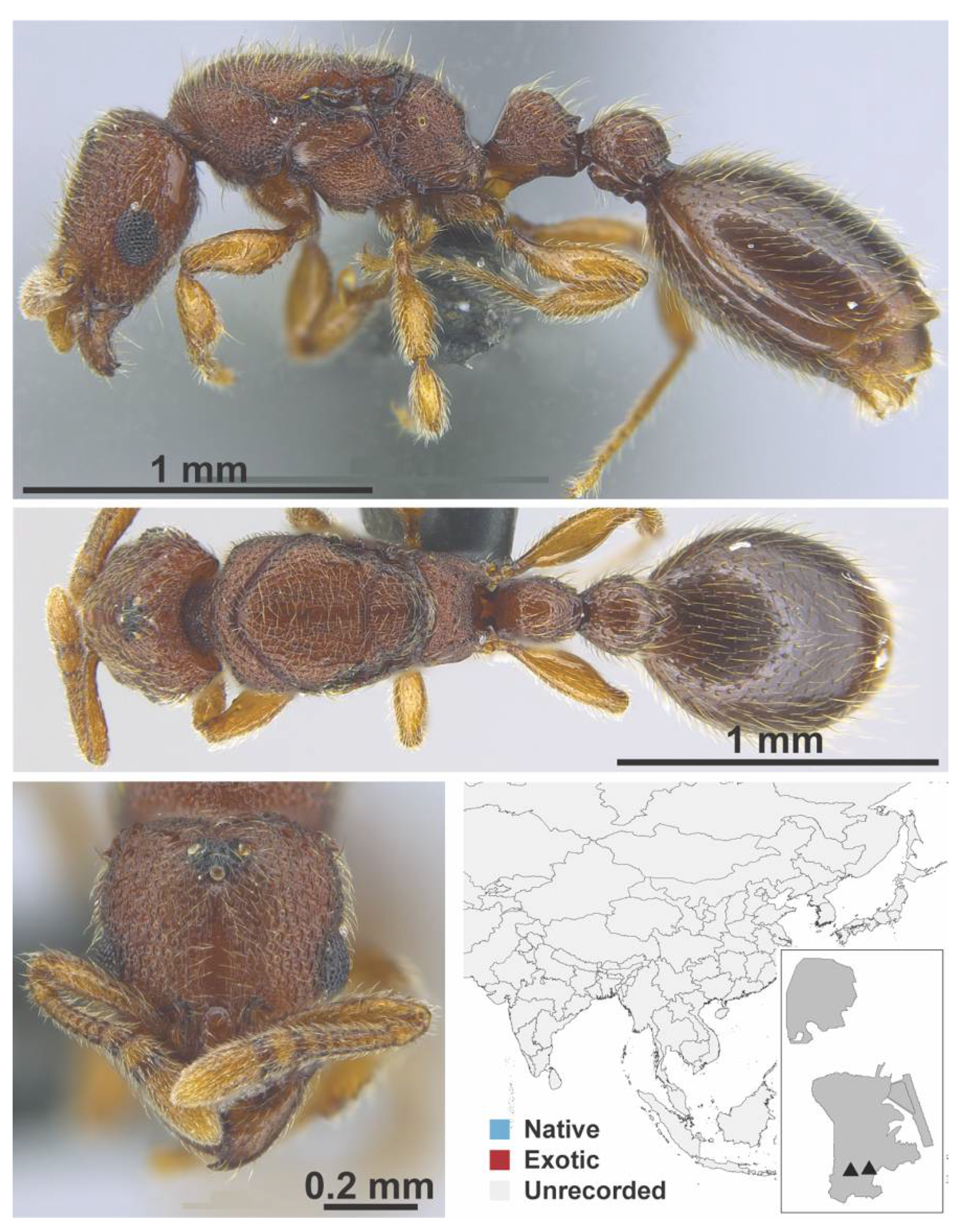 Diversity 13 00358 g0a138