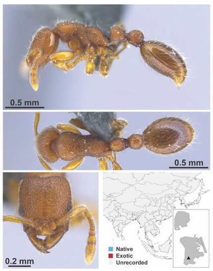 Diversity 13 00358 g0a139