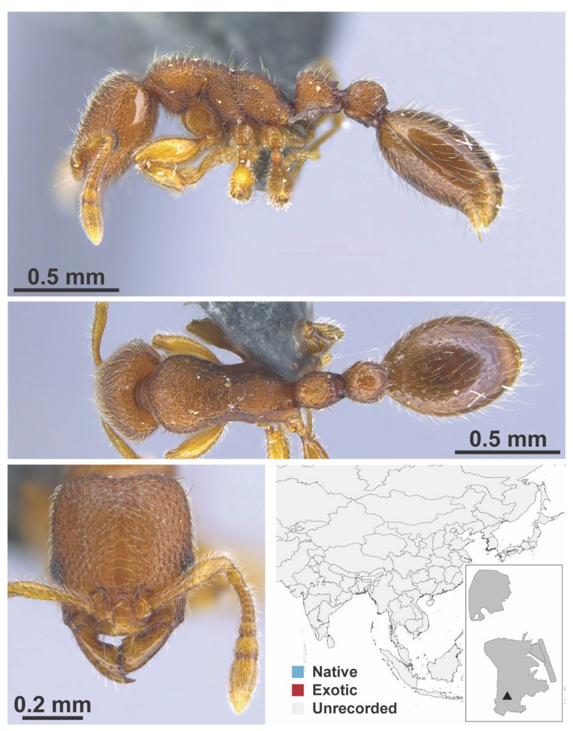 Diversity 13 00358 g0a139