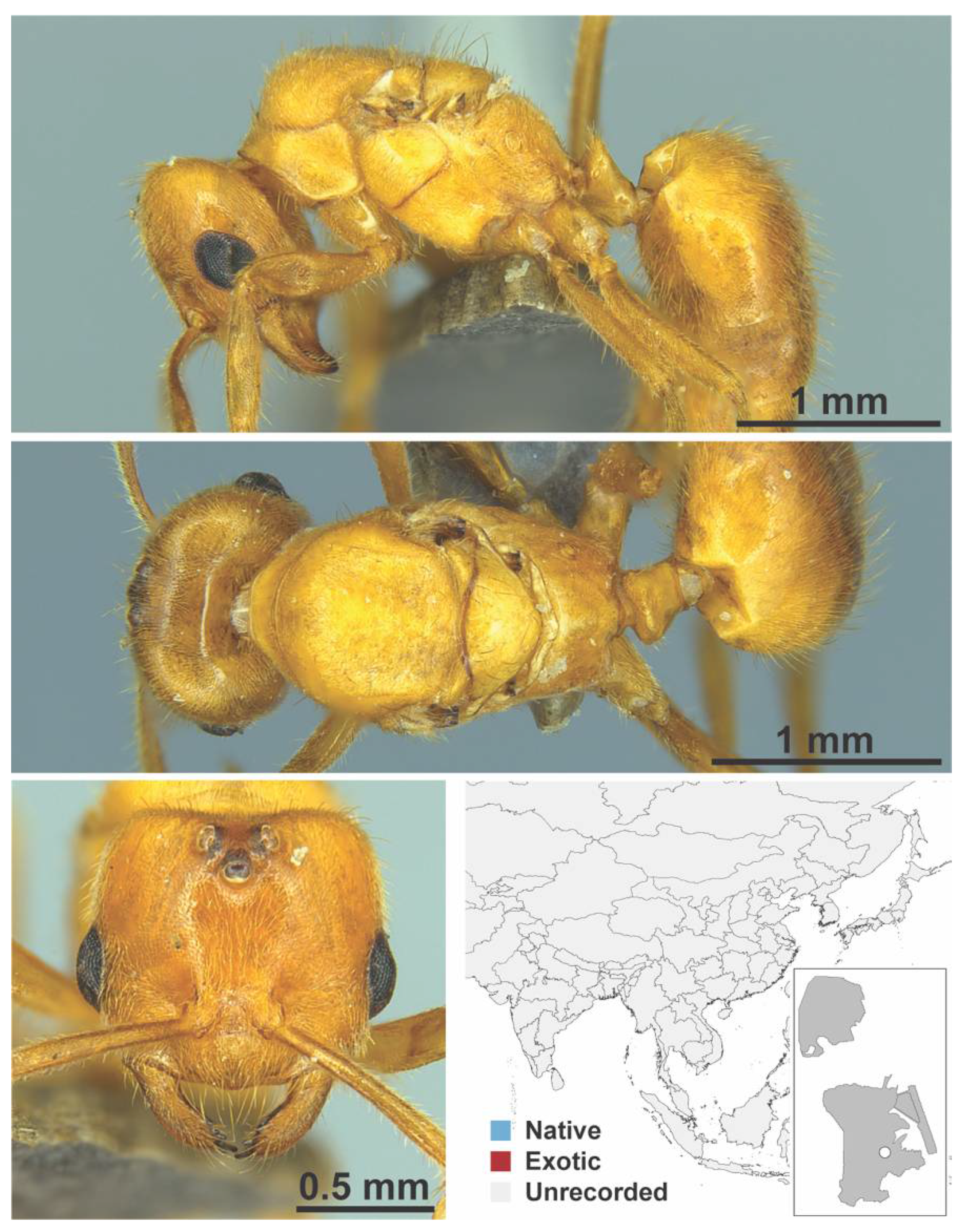 Diversity 13 00358 g0a14