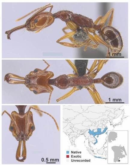 Diversity 13 00358 g0a140