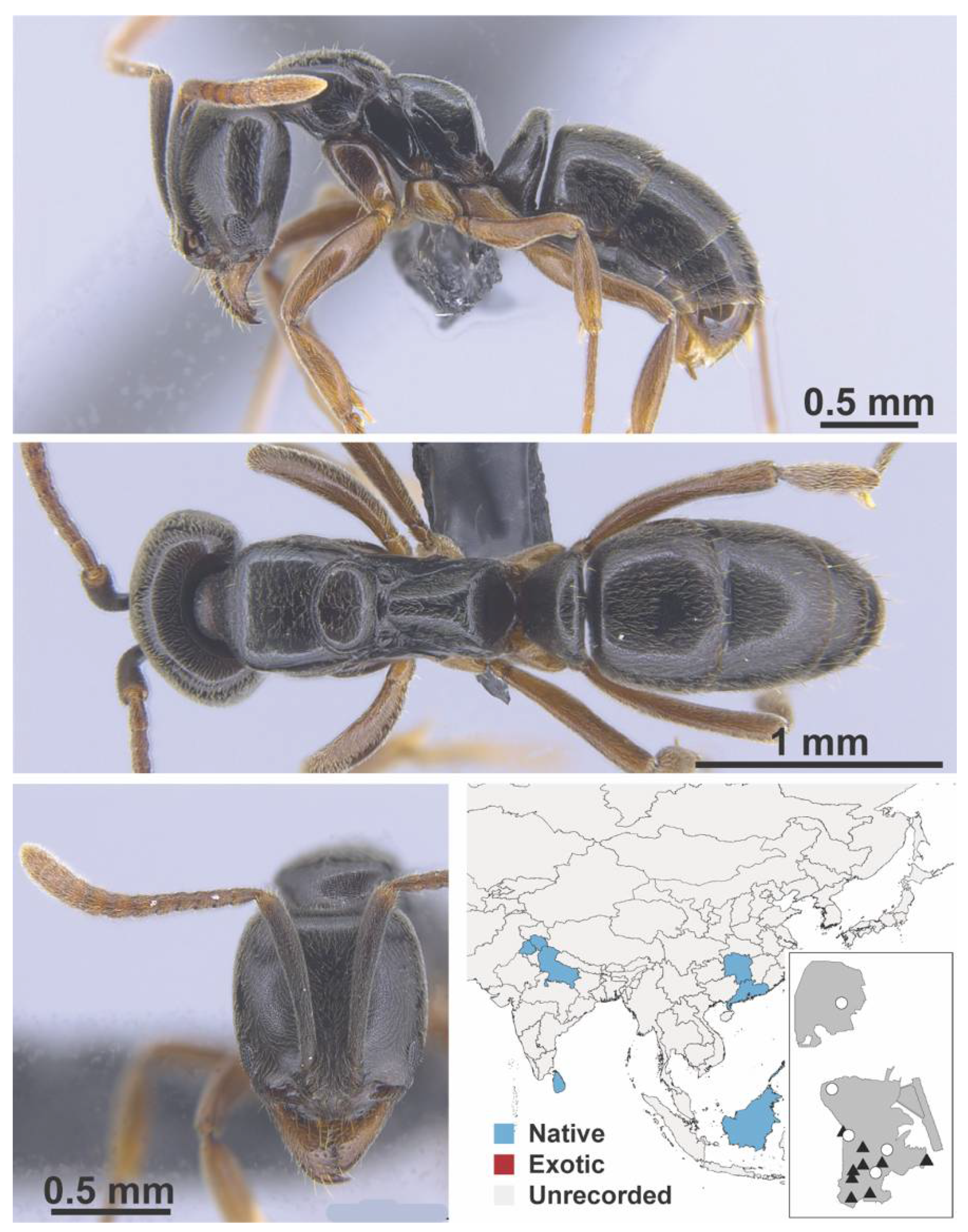Diversity 13 00358 g0a141