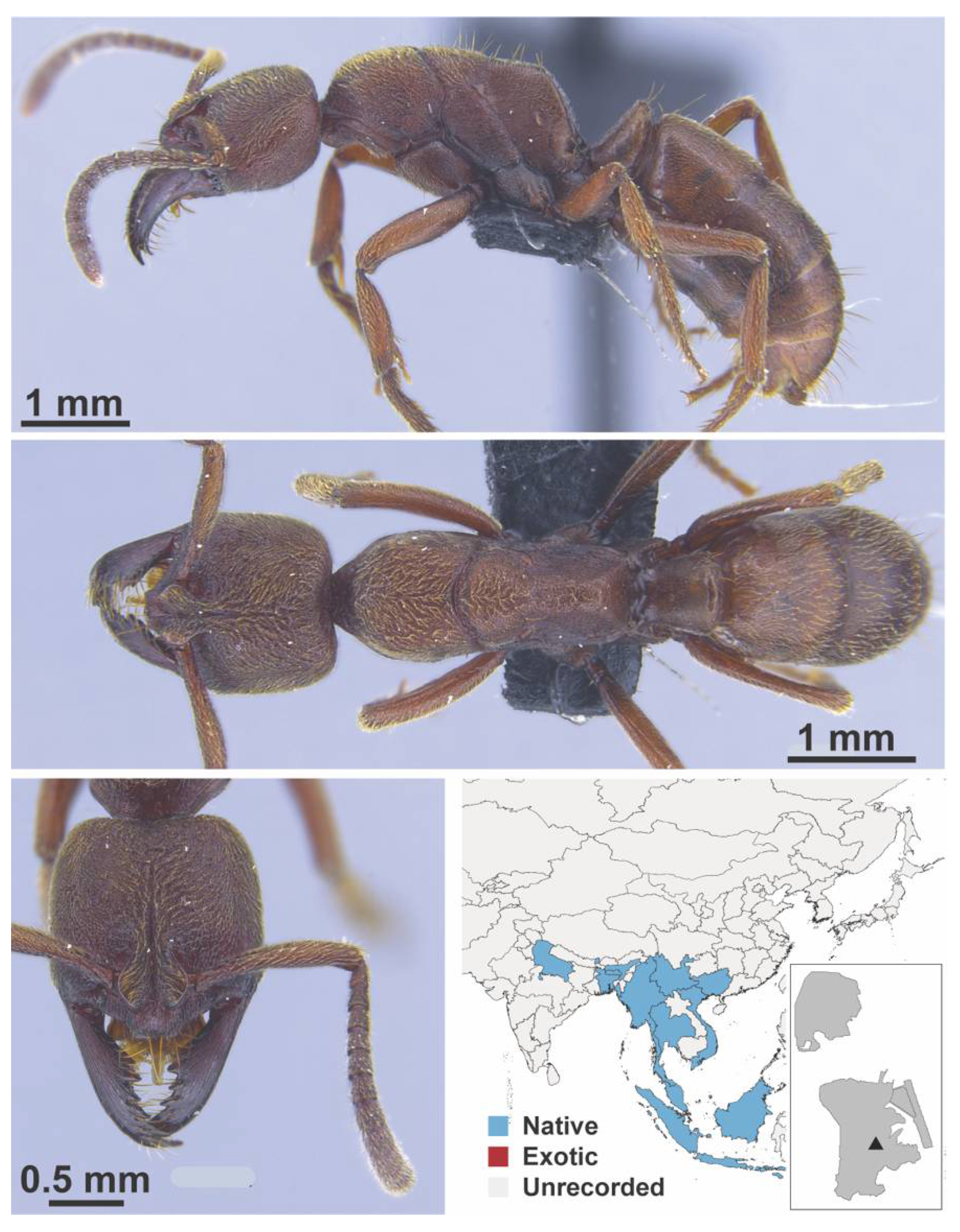 Diversity 13 00358 g0a142