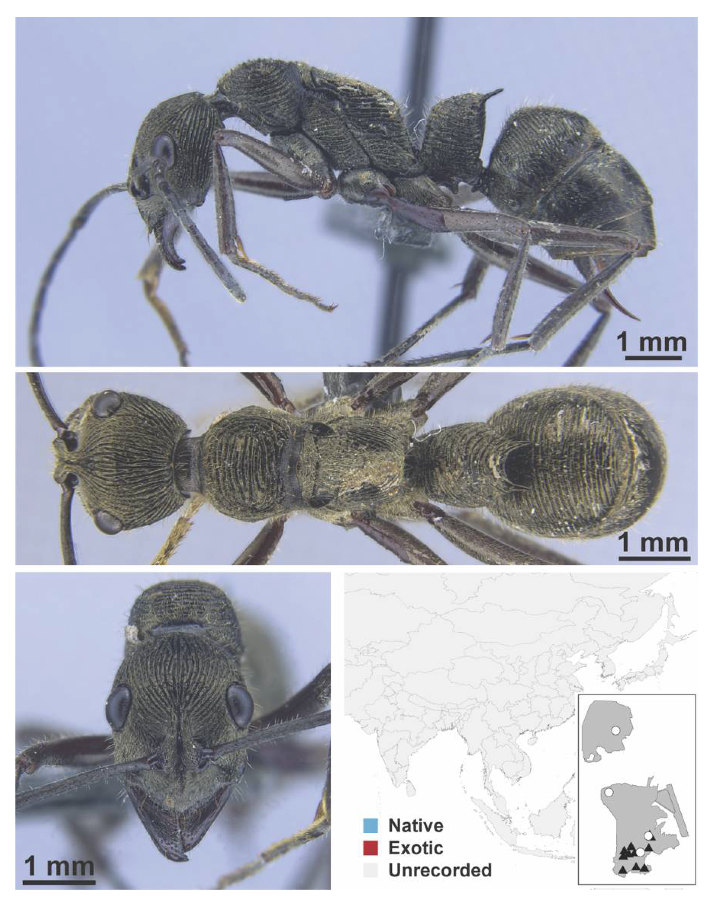 Diversity 13 00358 g0a143