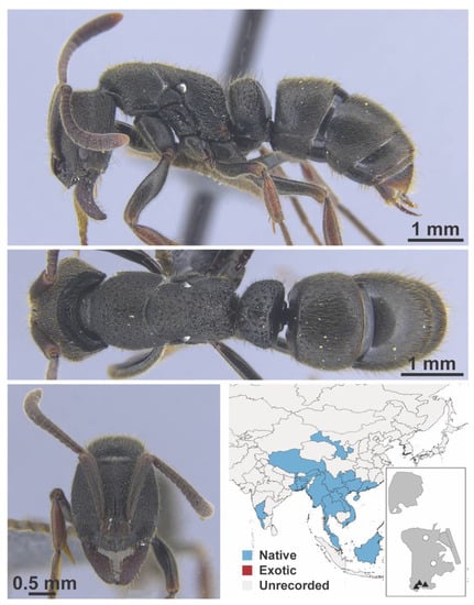 Diversity 13 00358 g0a145