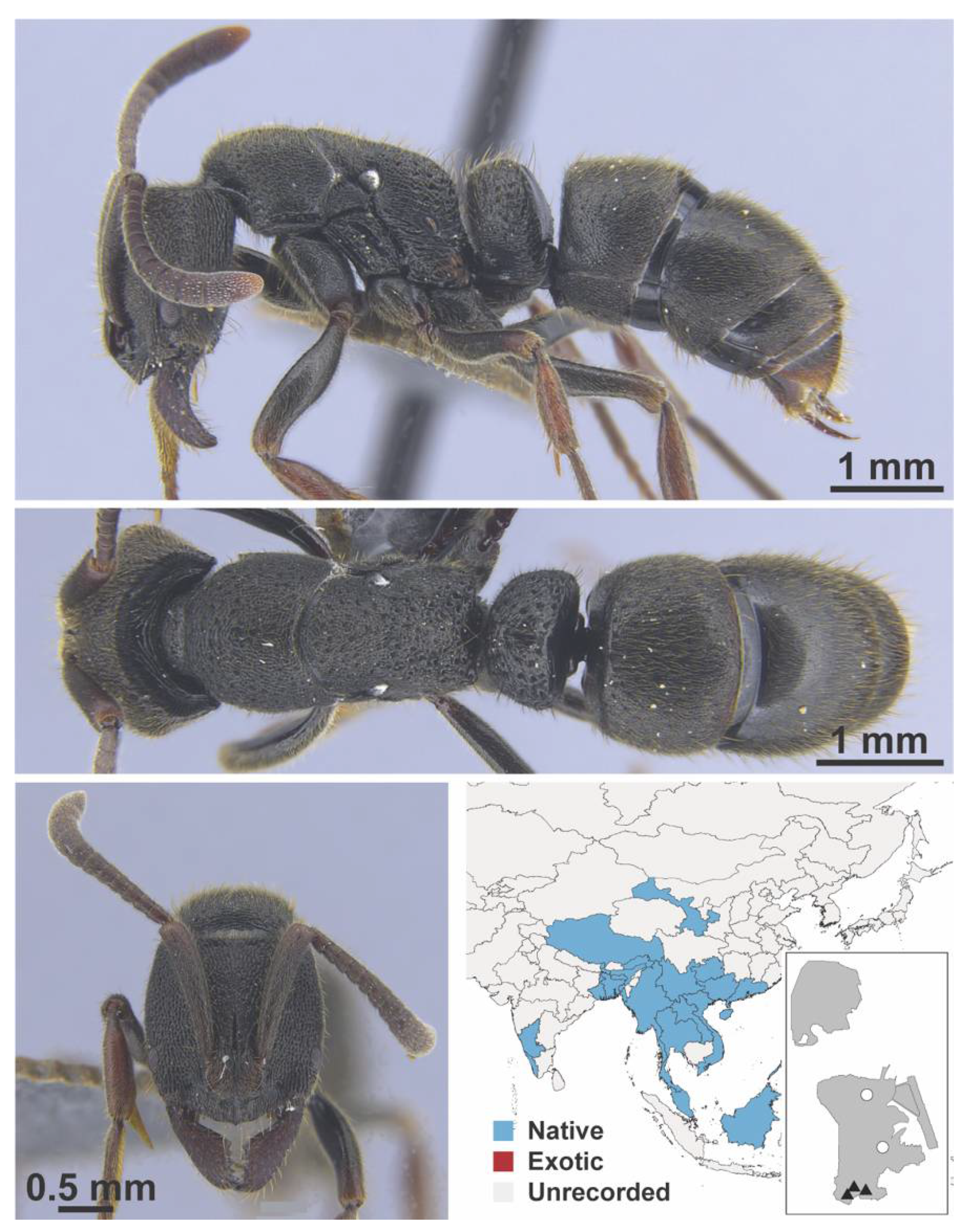 Diversity 13 00358 g0a145