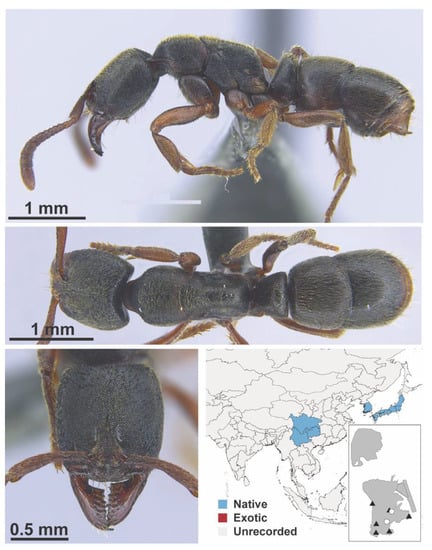 Diversity 13 00358 g0a146