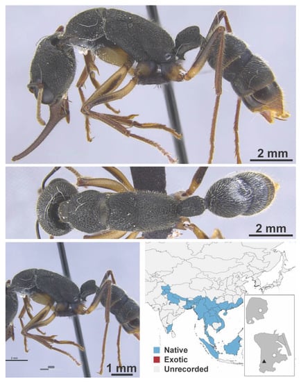 Diversity 13 00358 g0a147