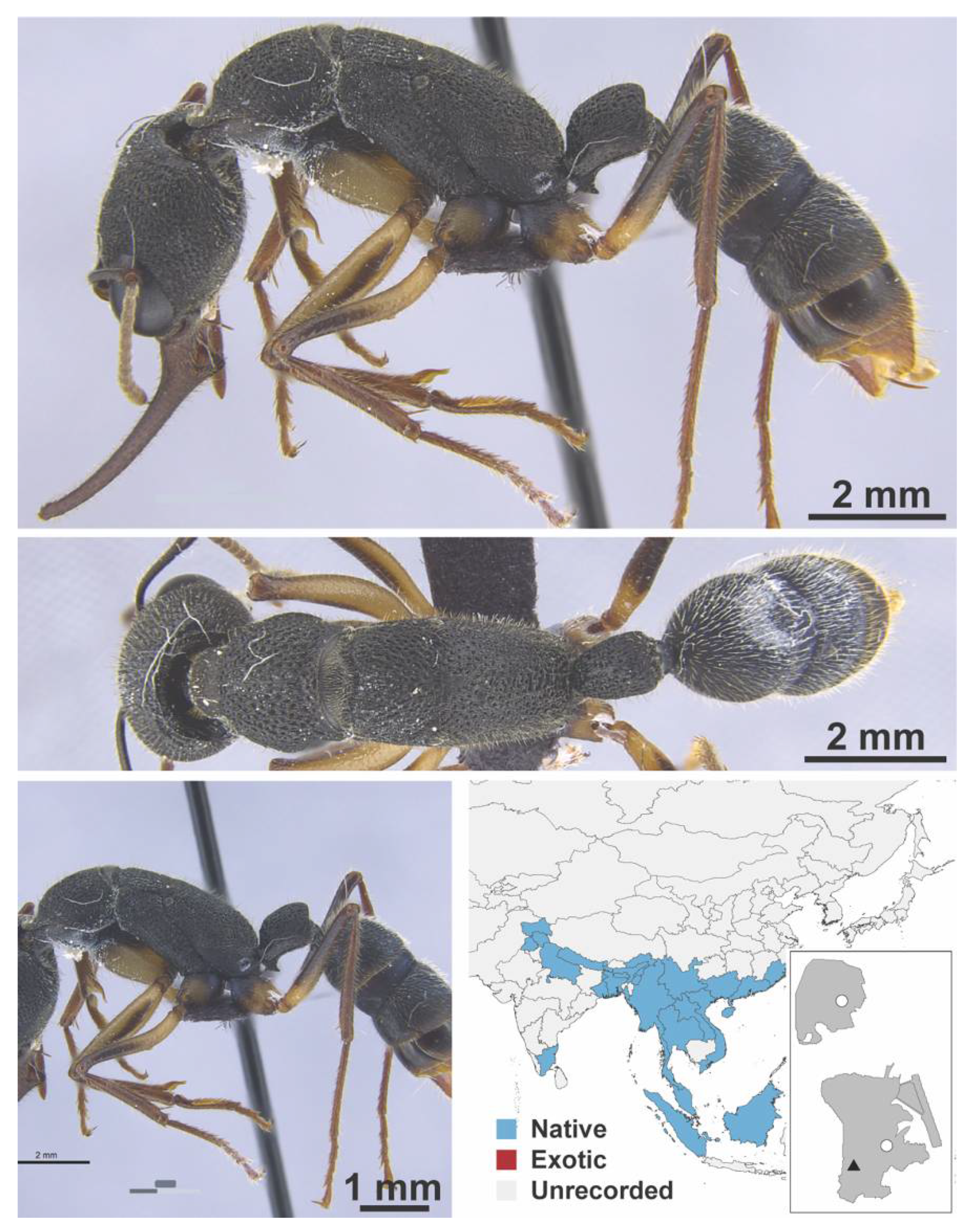 Diversity 13 00358 g0a147