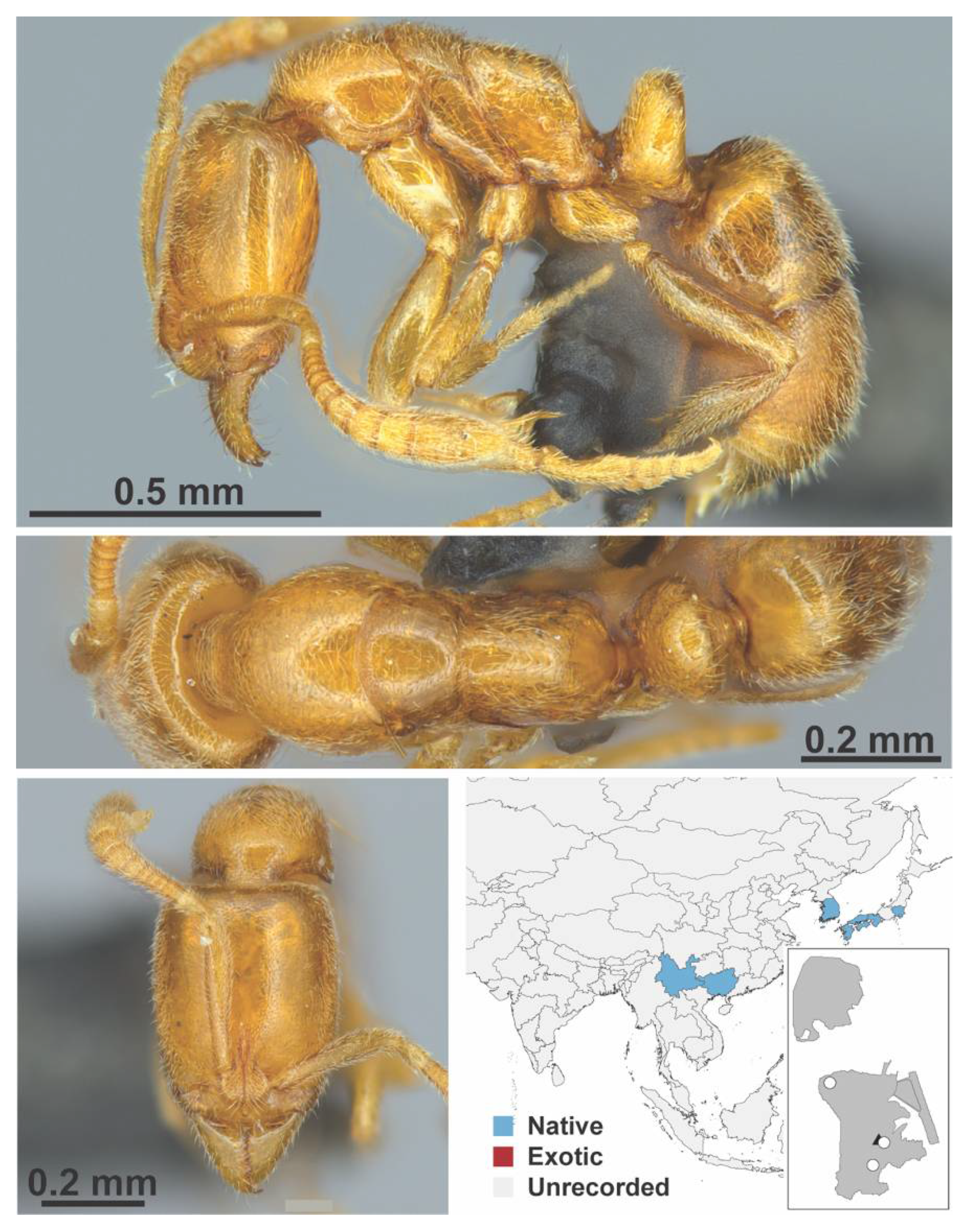 Diversity 13 00358 g0a148