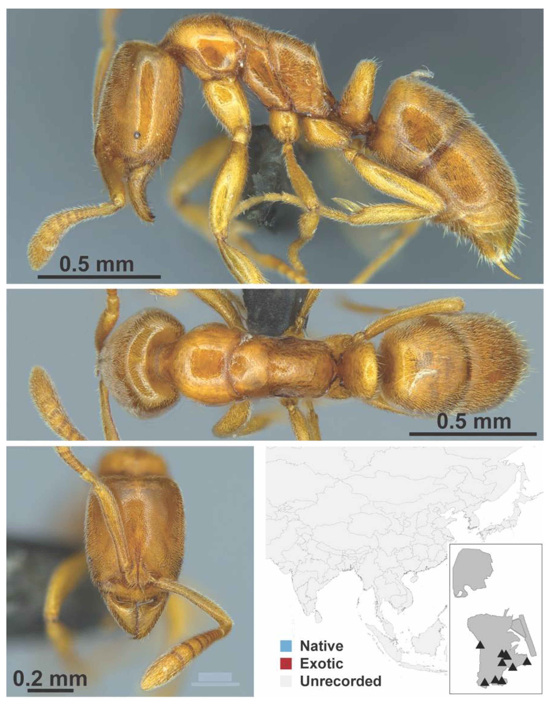 Diversity 13 00358 g0a149