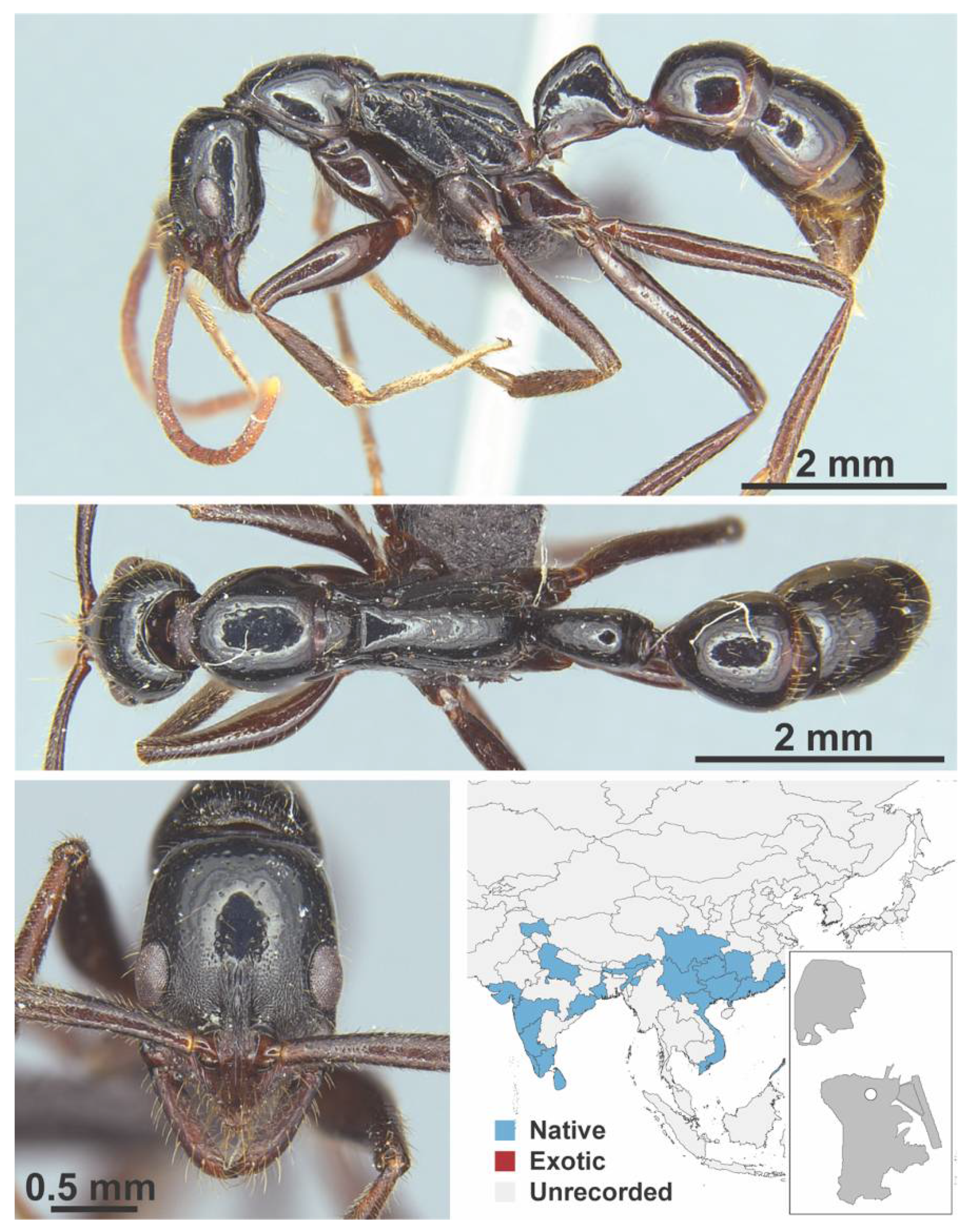 Diversity 13 00358 g0a150