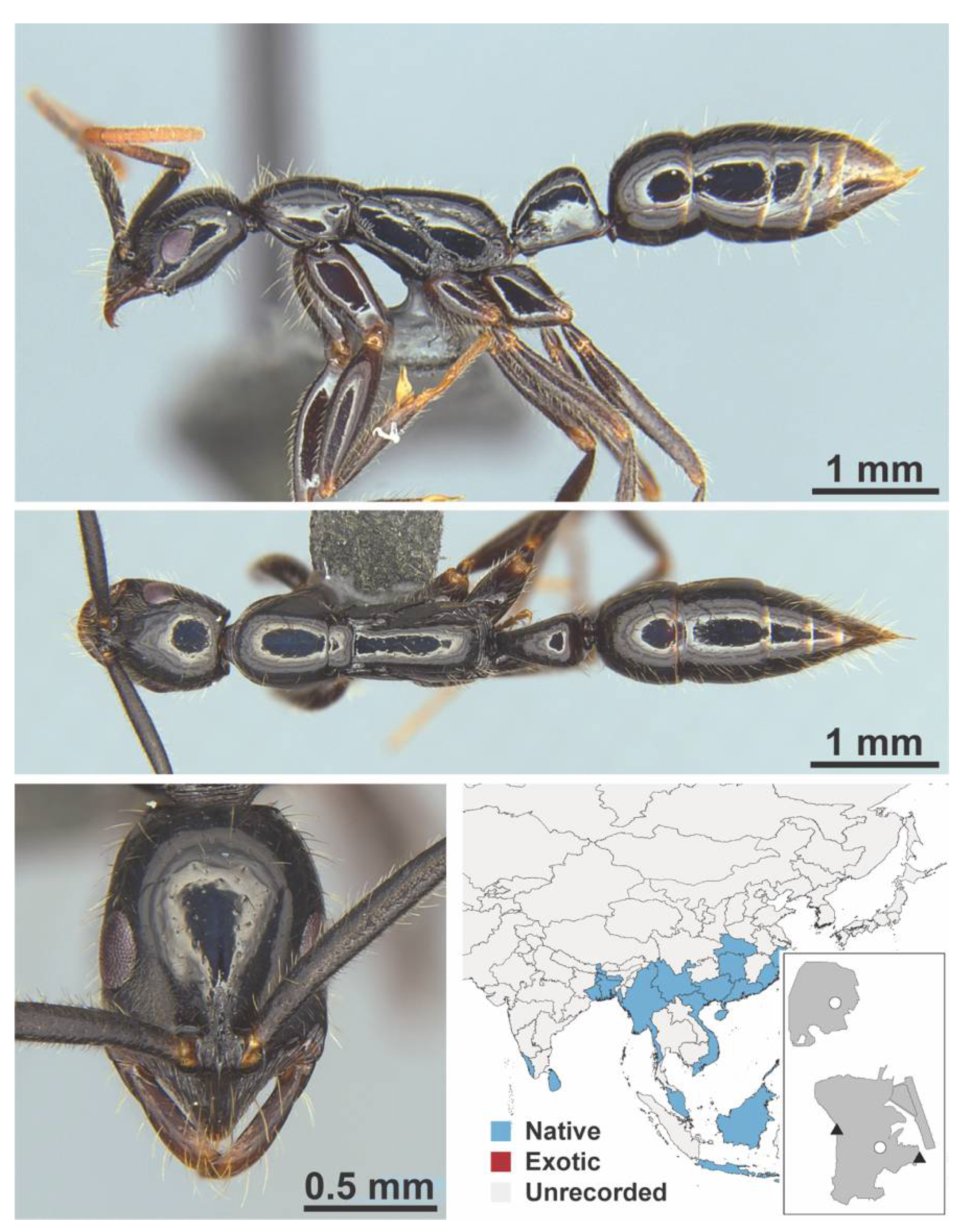 Diversity 13 00358 g0a151
