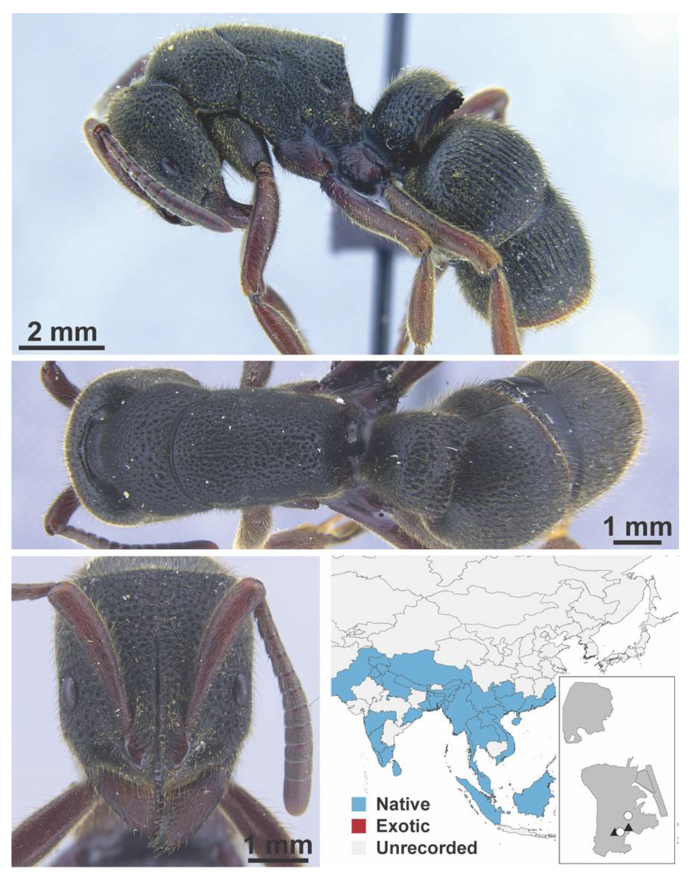 Diversity 13 00358 g0a153