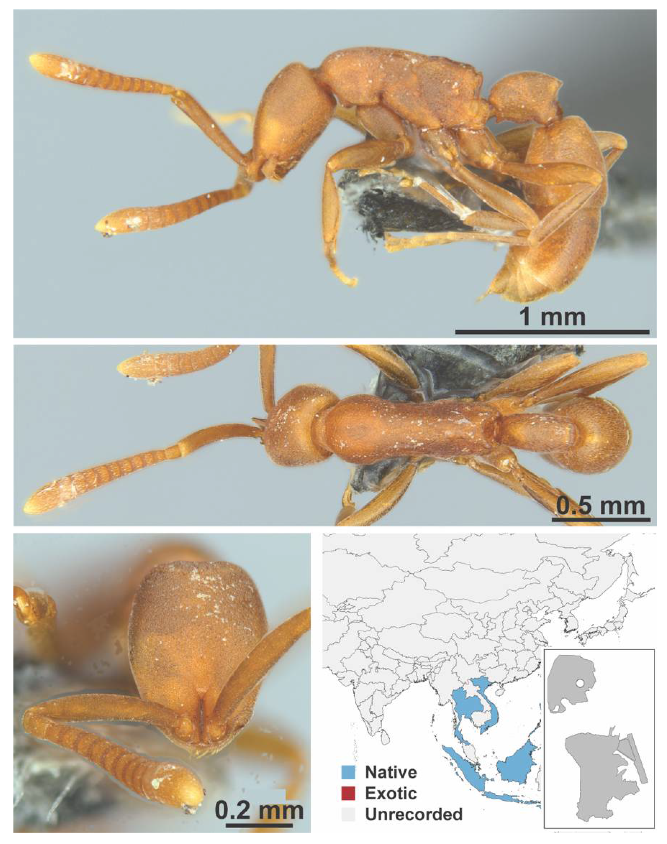 Diversity 13 00358 g0a154