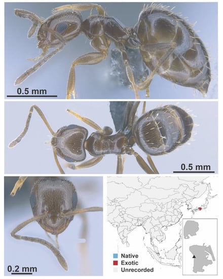 Diversity 13 00358 g0a16