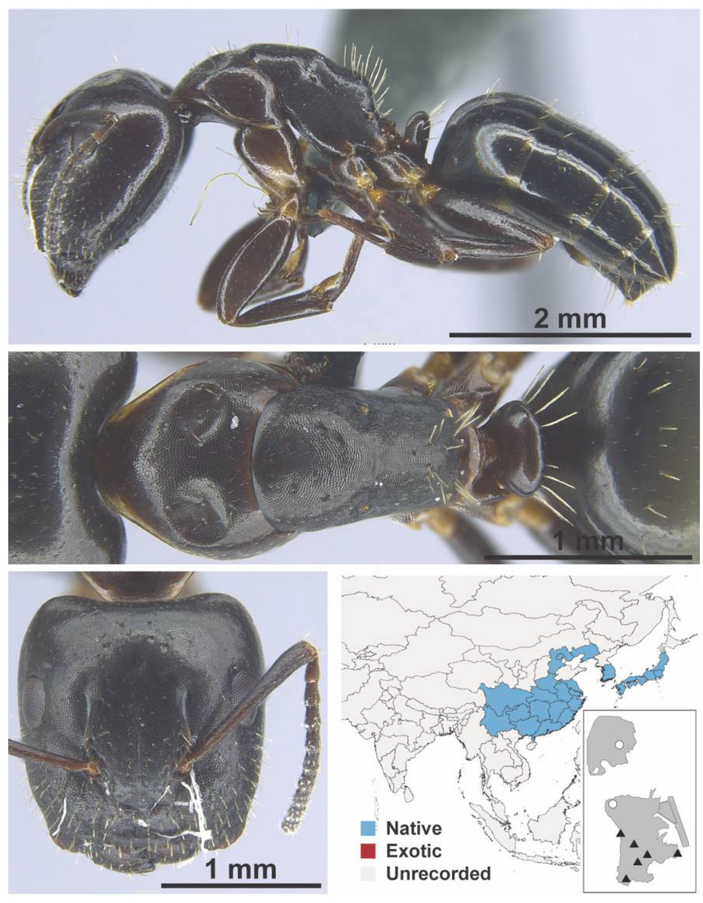 Diversity 13 00358 g0a29