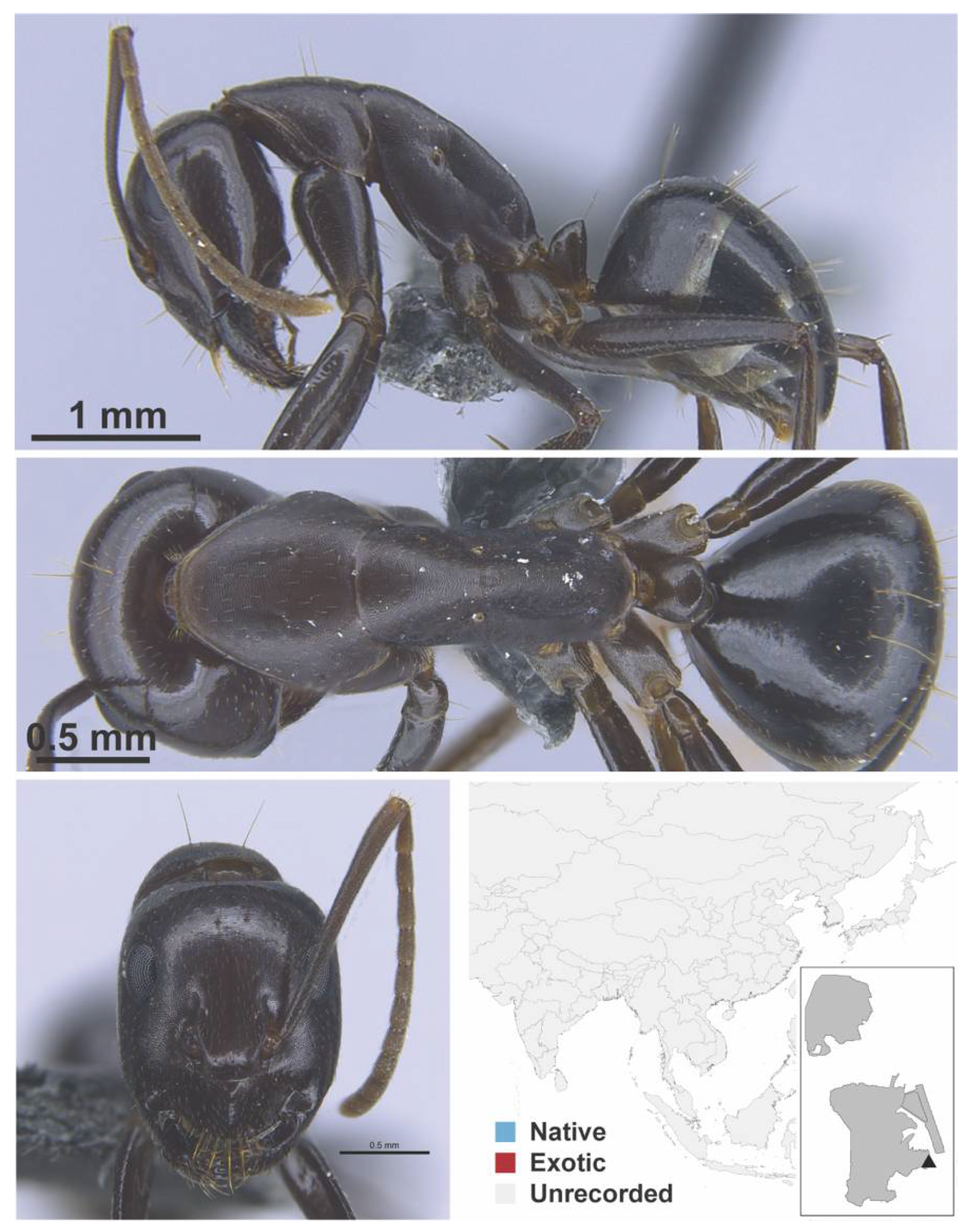 Diversity 13 00358 g0a30