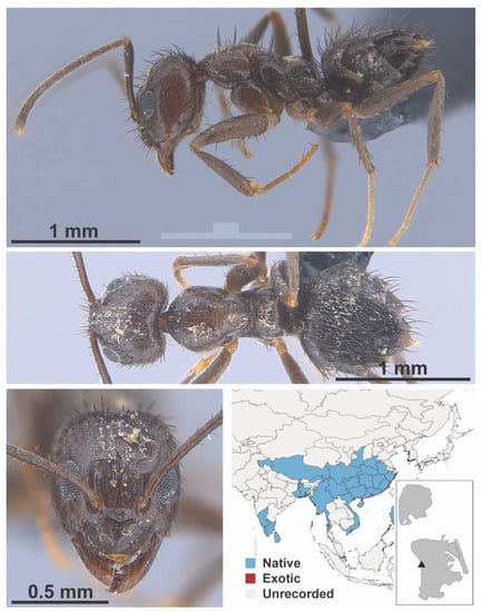 Diversity 13 00358 g0a38