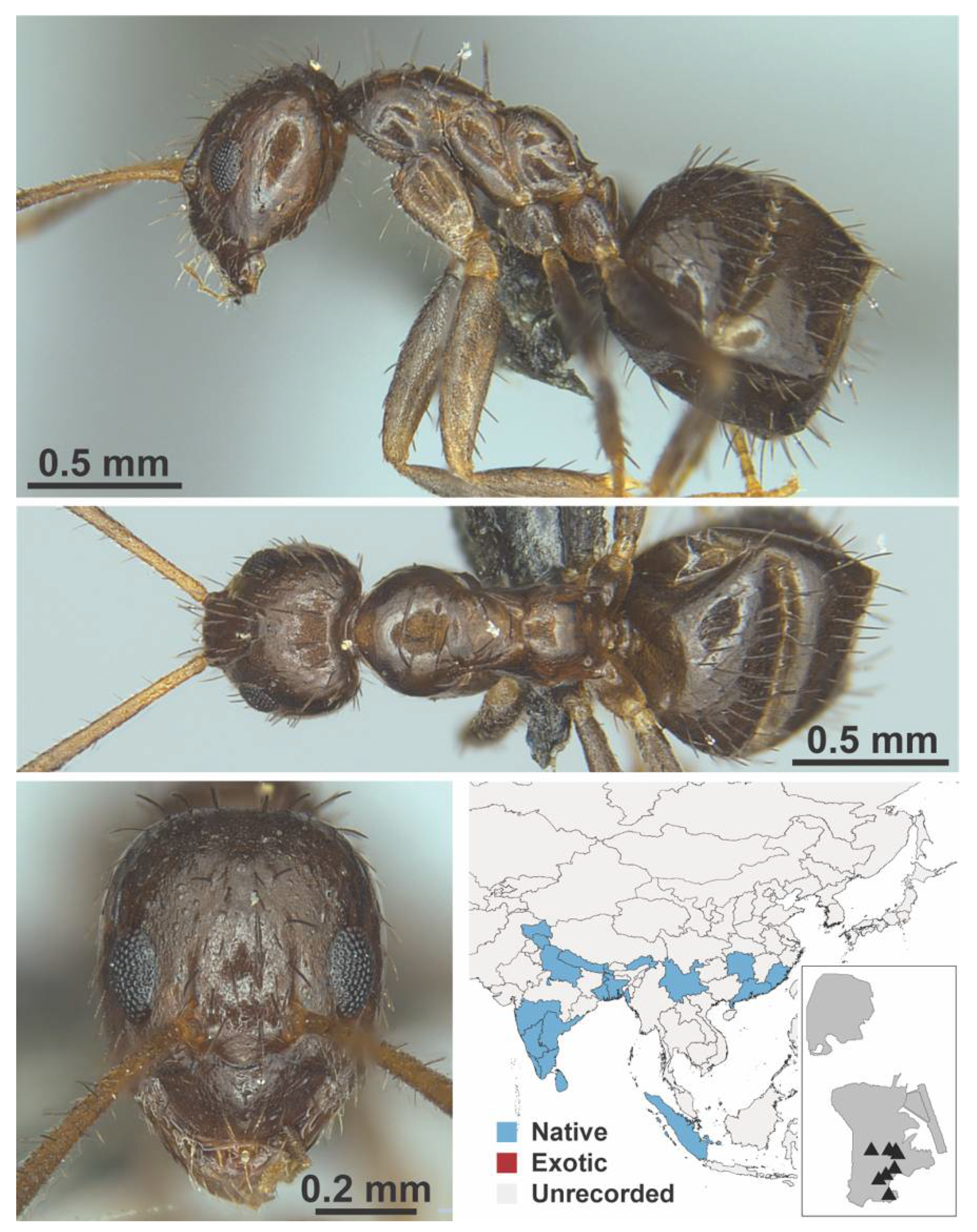 Diversity 13 00358 g0a39