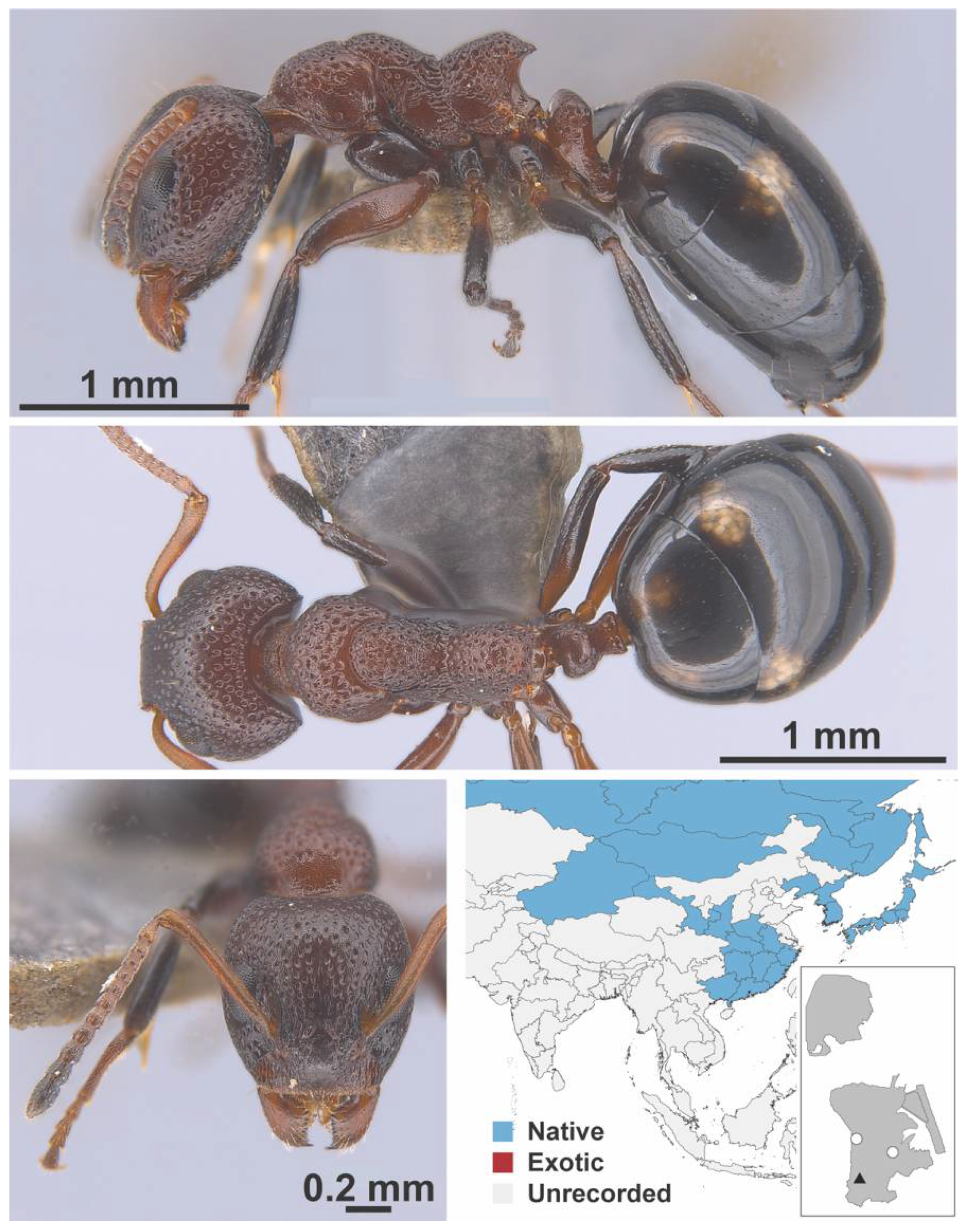 Diversity 13 00358 g0a4