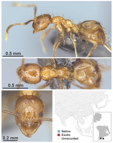 Diversity 13 00358 g0a43