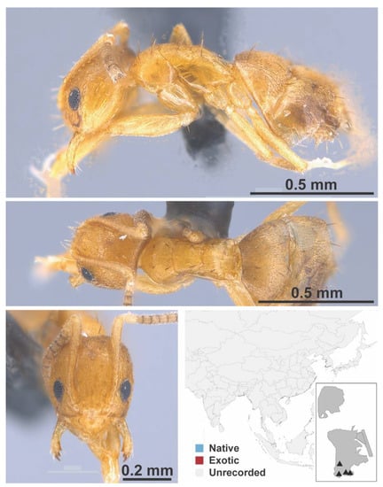 Diversity 13 00358 g0a44