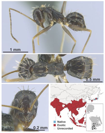 Diversity 13 00358 g0a45