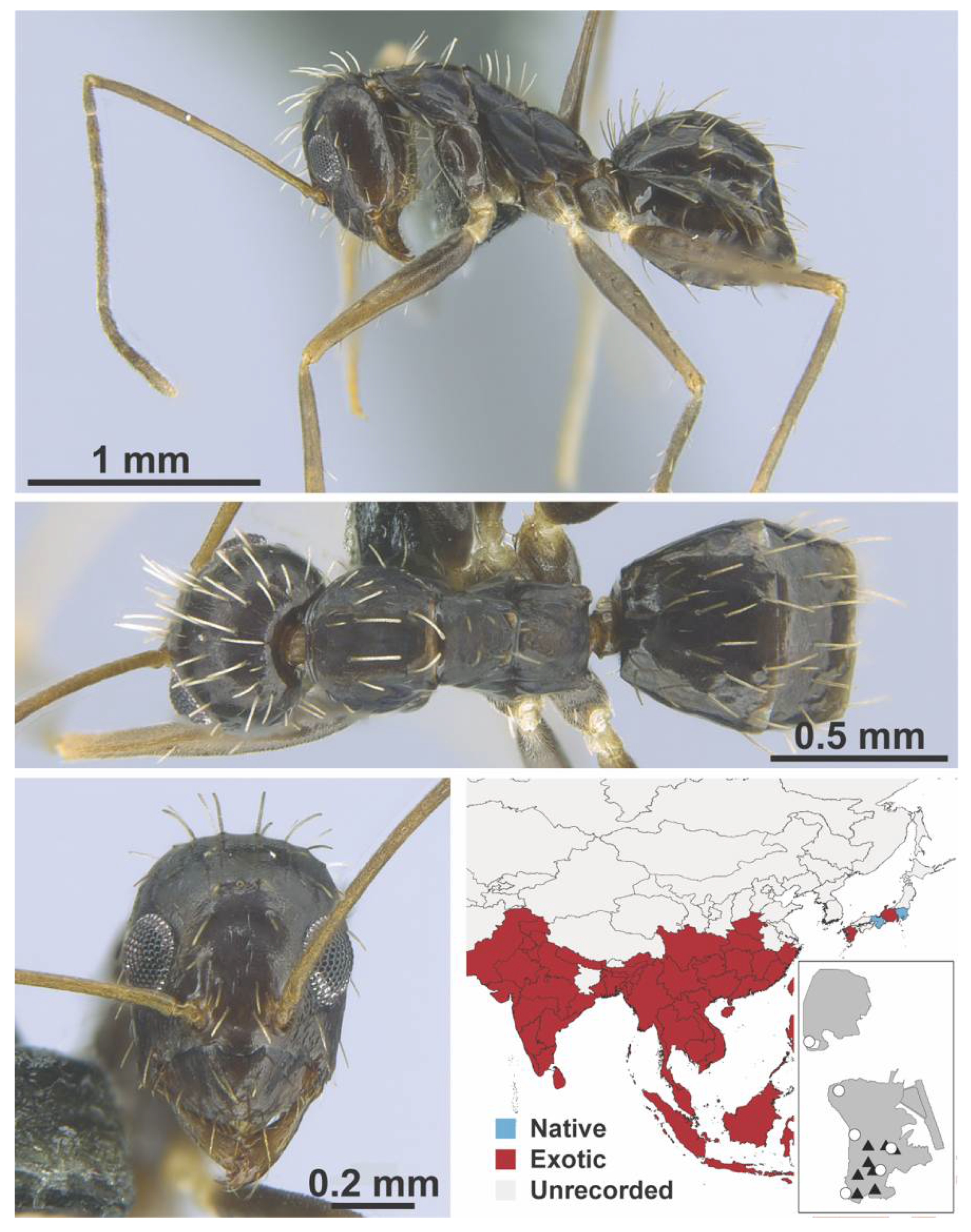 Diversity 13 00358 g0a45