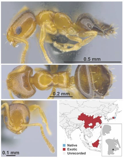 Diversity 13 00358 g0a46