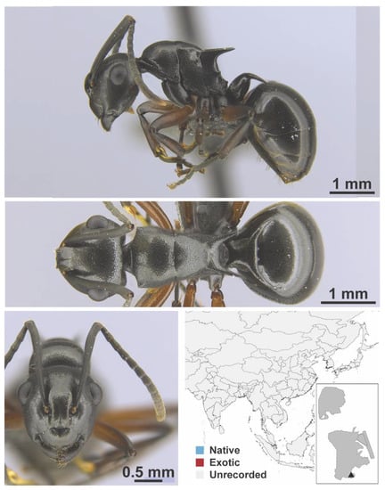 Diversity 13 00358 g0a47