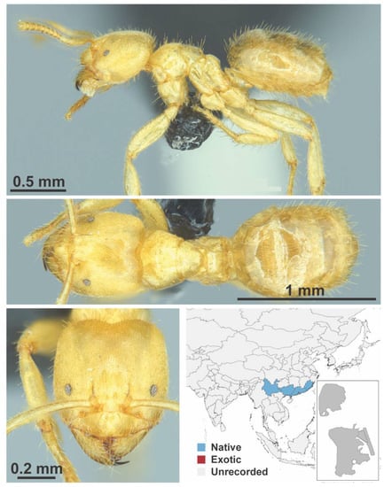 Diversity 13 00358 g0a53