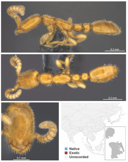 Diversity 13 00358 g0a54