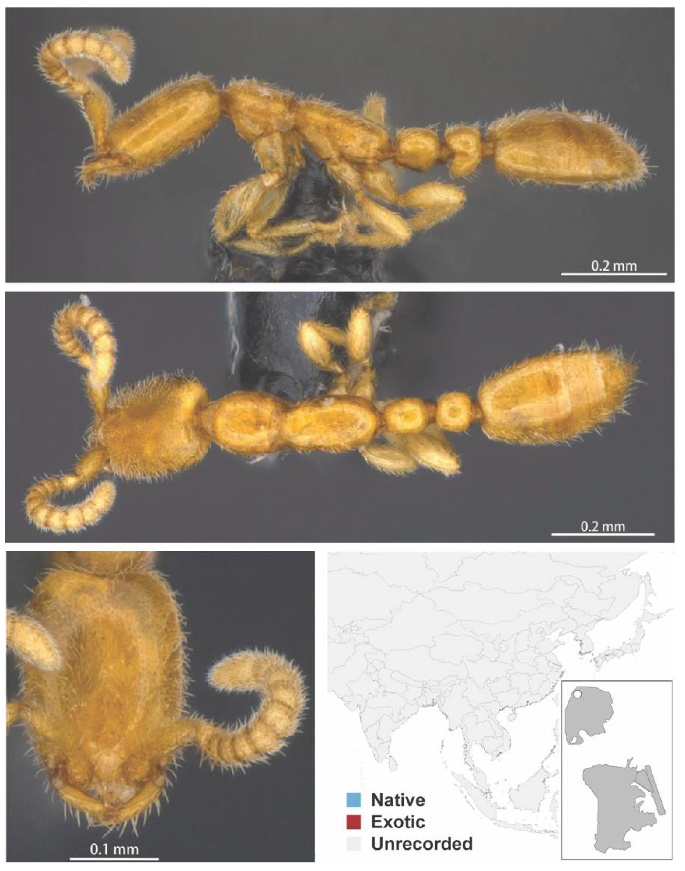 Diversity 13 00358 g0a54