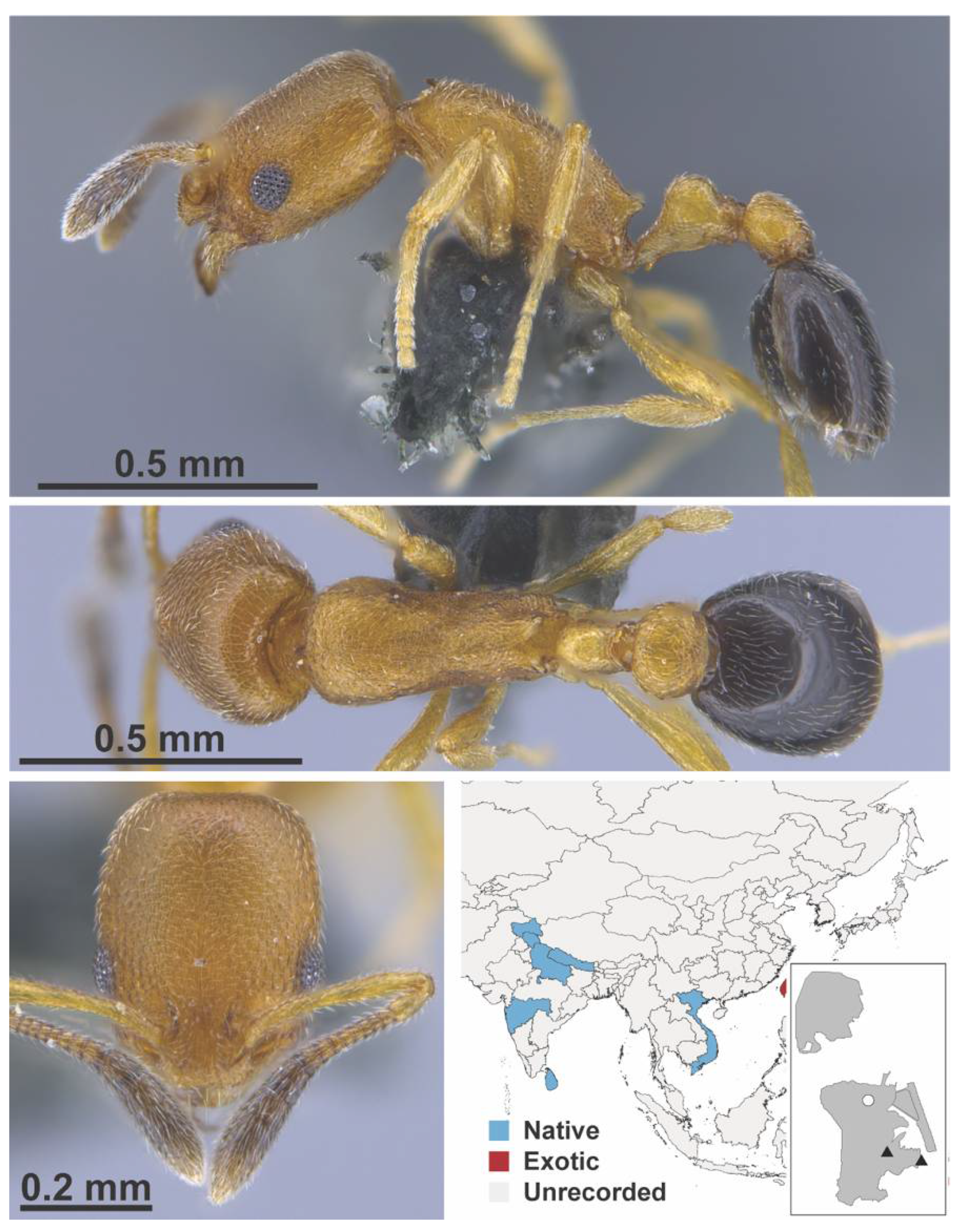 Diversity 13 00358 g0a55