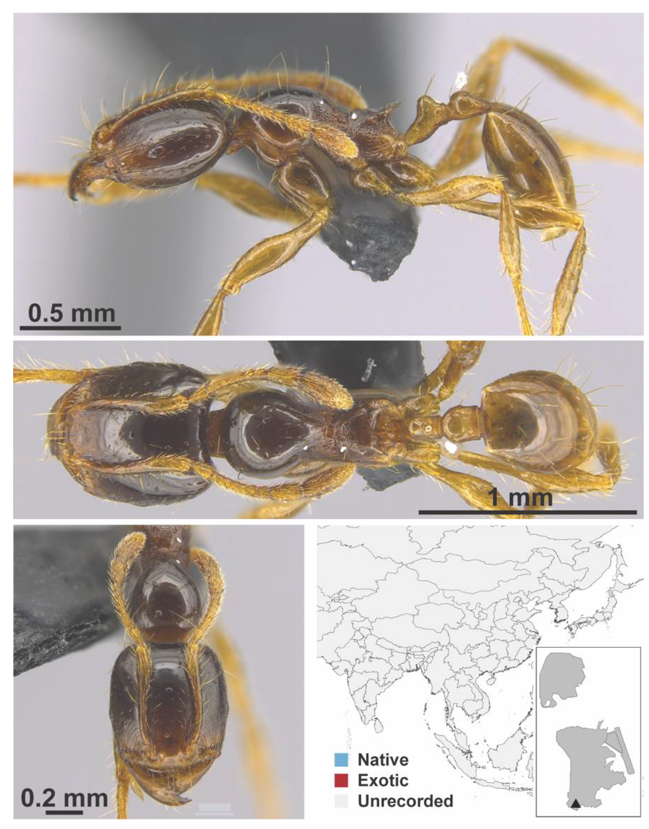 Diversity 13 00358 g0a59