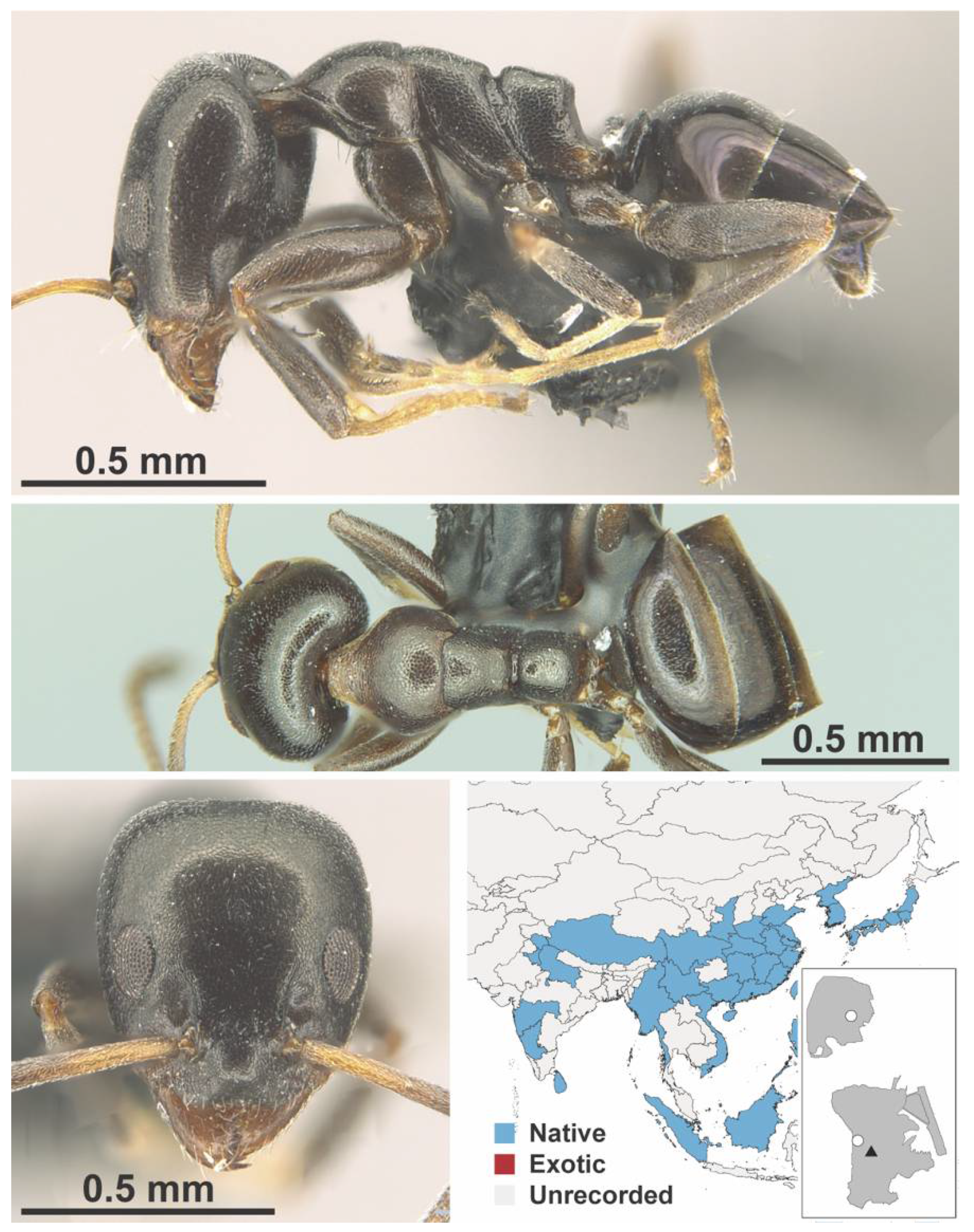 Diversity 13 00358 g0a6