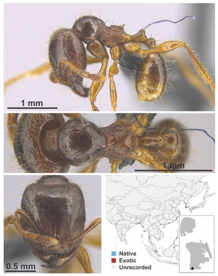Diversity 13 00358 g0a60