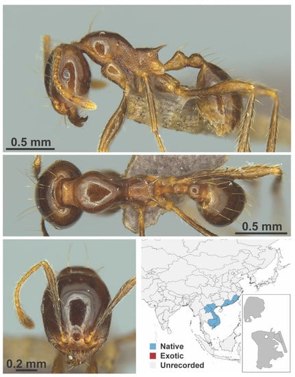 Diversity 13 00358 g0a61