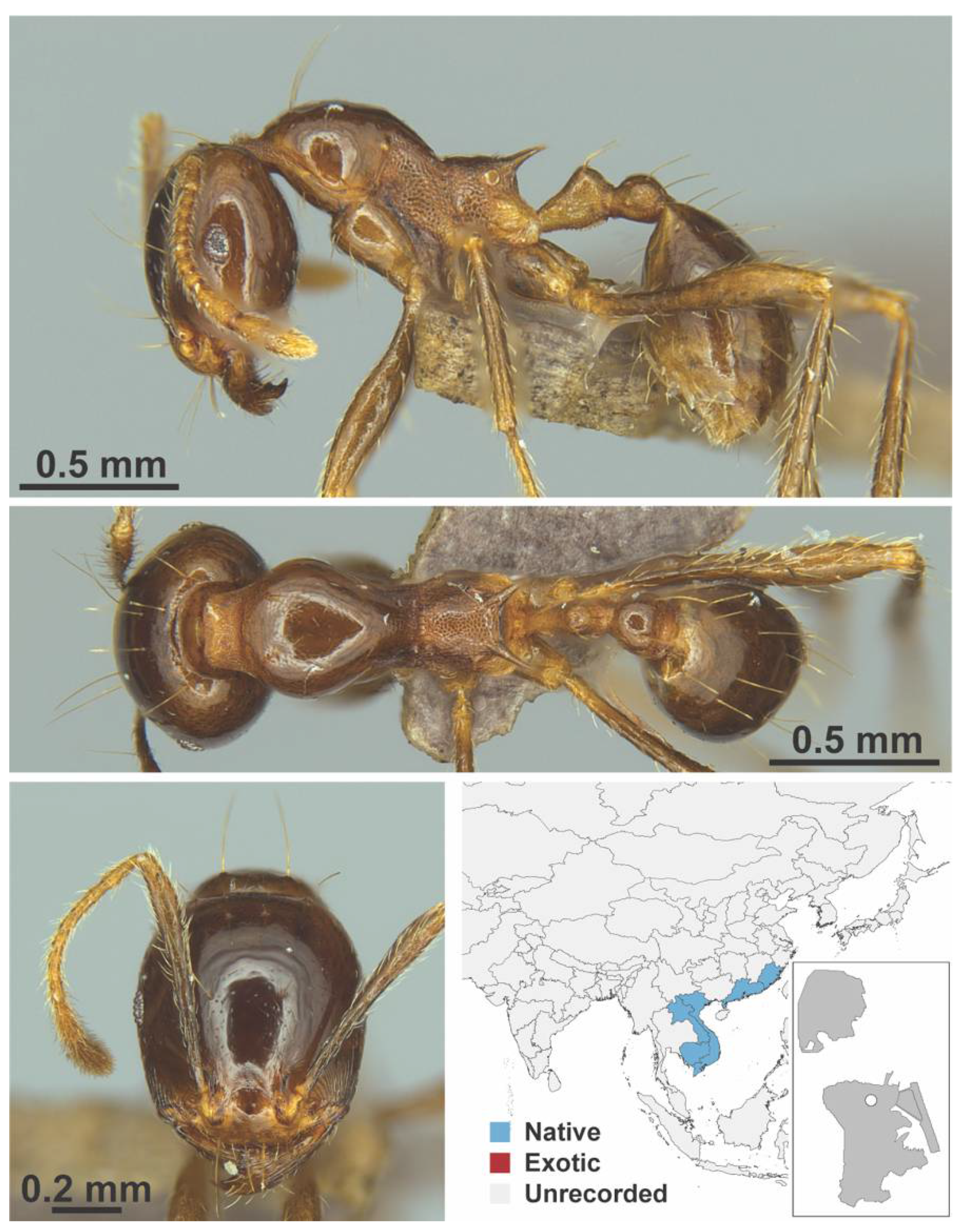 Diversity 13 00358 g0a61