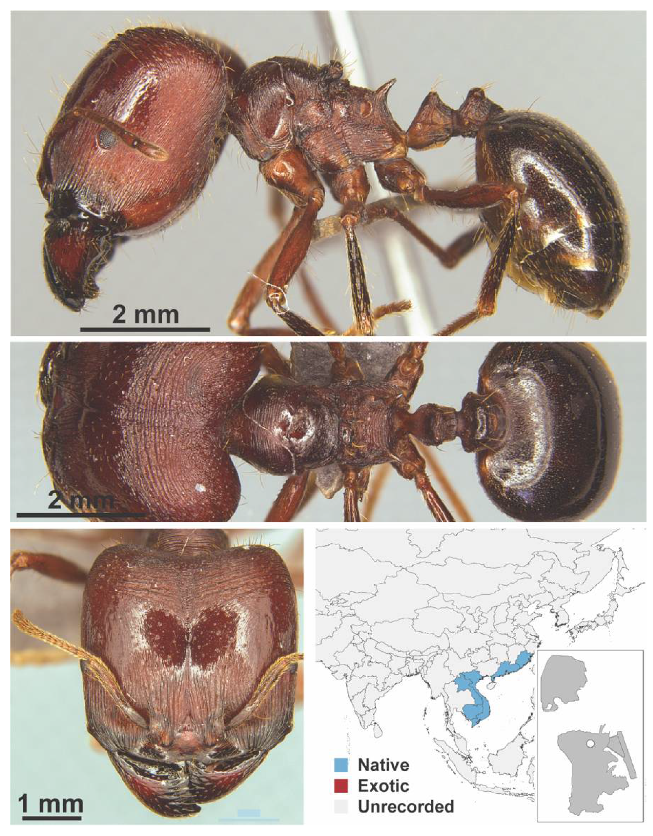 Diversity 13 00358 g0a62