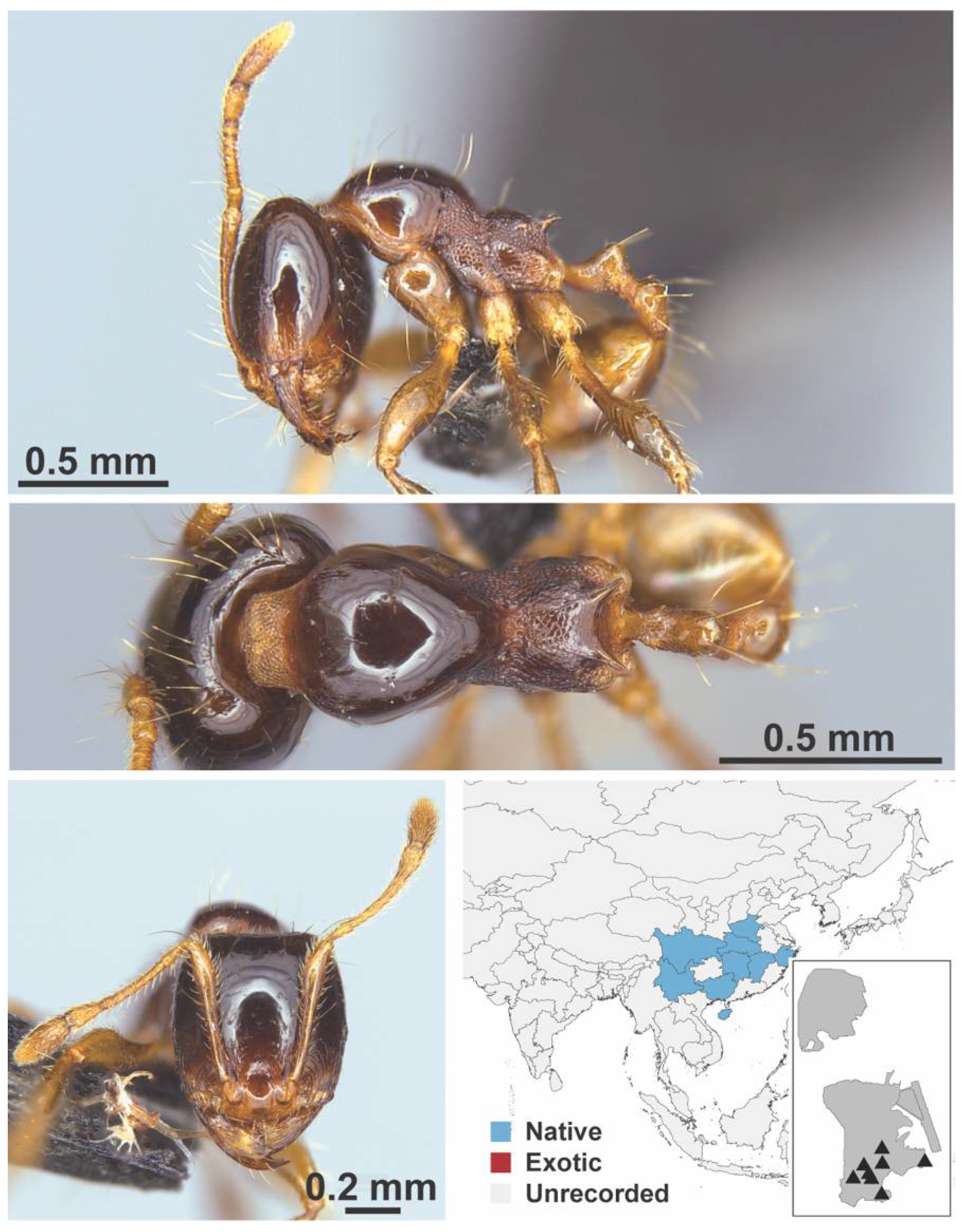 Diversity 13 00358 g0a63